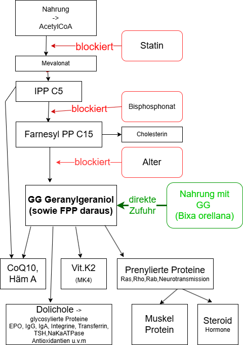 Pathways and hinderances to GG